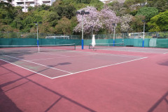 Coach-TPA-HKU-VENUE-2018